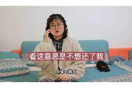 龙泉企业清欠服务